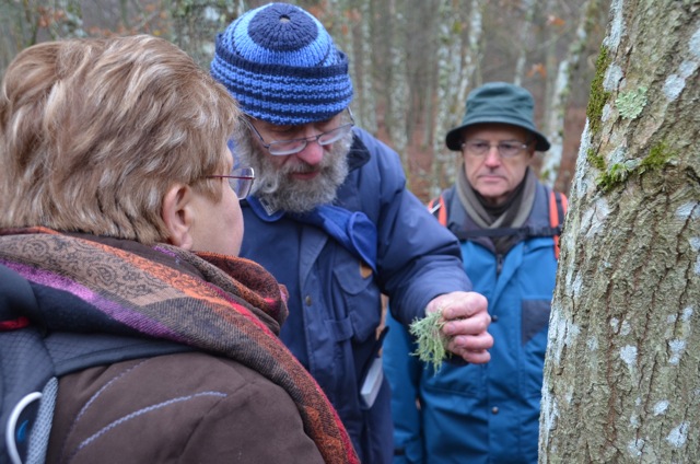 2011 12 A la découverte des lichens 29